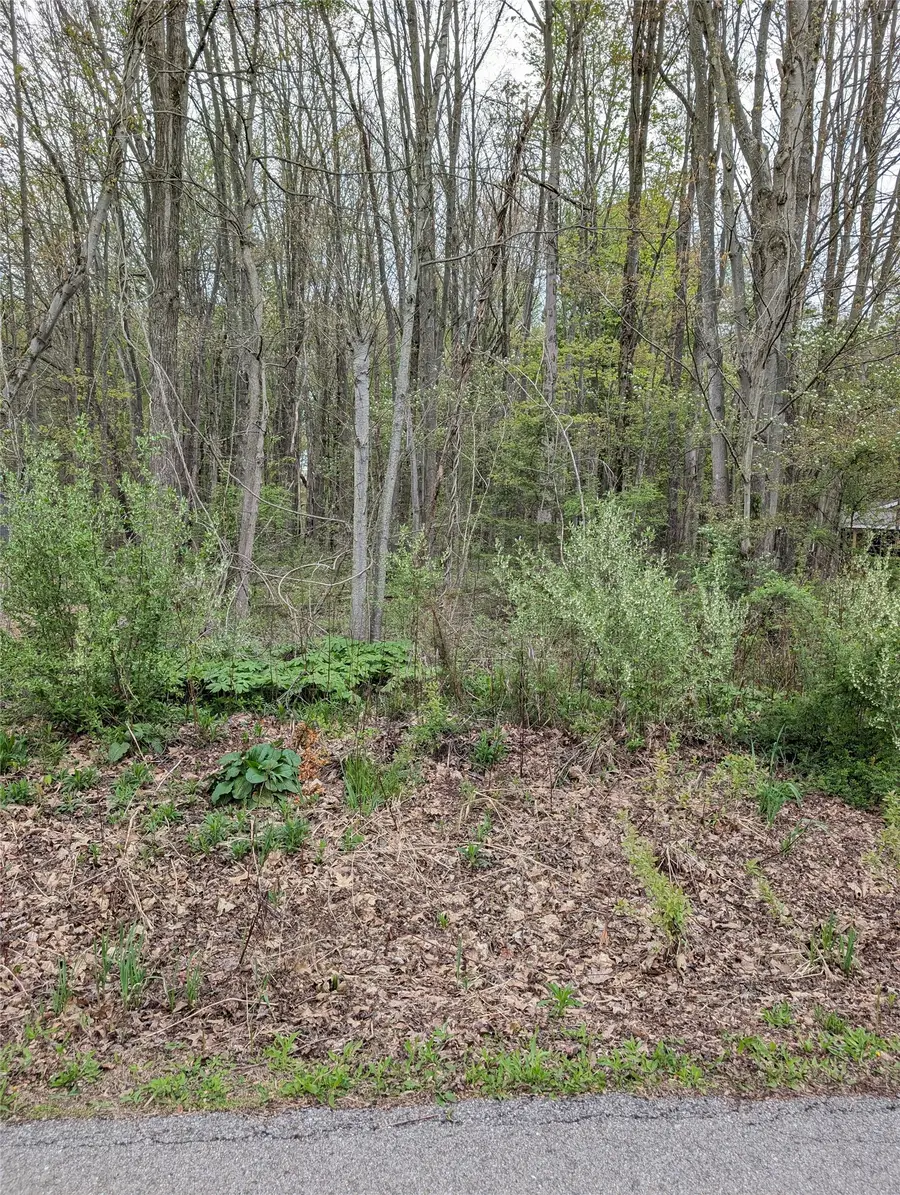 Maple Drive, Linesville, PA 16424 - #3