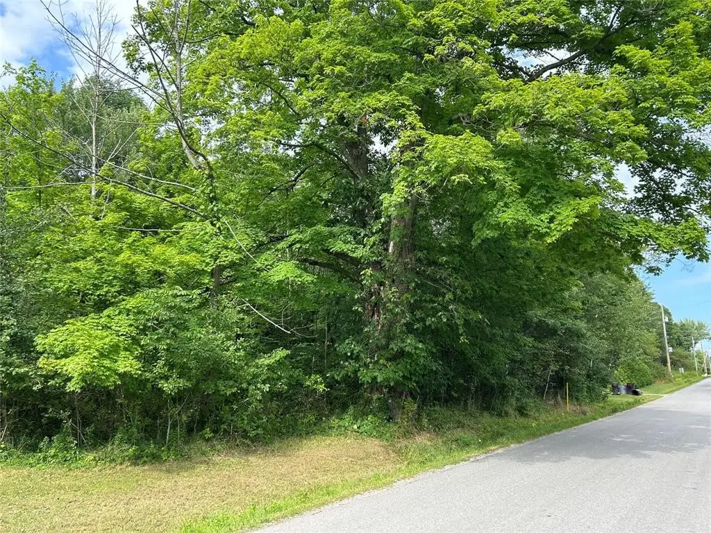 Leach Road, Espyville, PA 16424 - #1