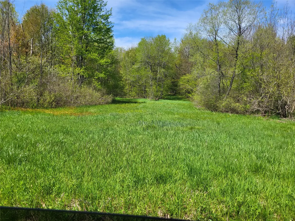 0 Dougan Rd/station Rd Road, North East, PA 16428 - #1