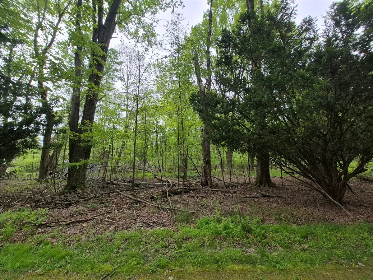 Emerson Avenue, Jamestown, PA 16134 - #1