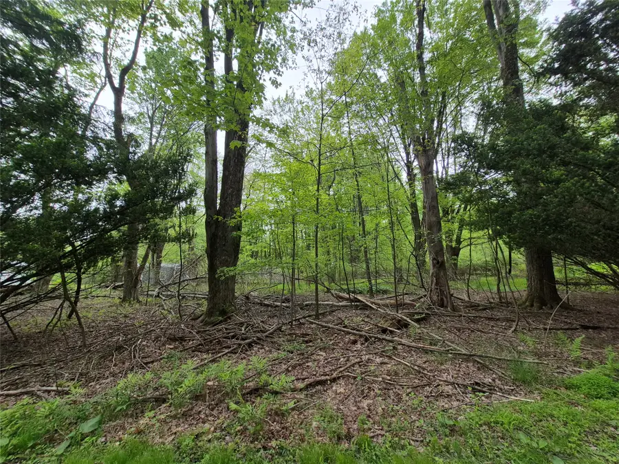 Emerson Avenue, Jamestown, PA 16134 - #2