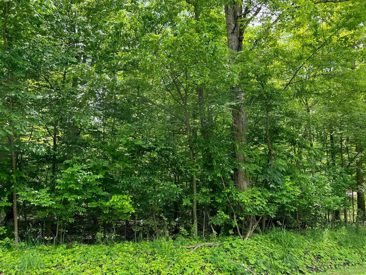 000 Lakeview Road, Jamestown, PA 16134 - #1