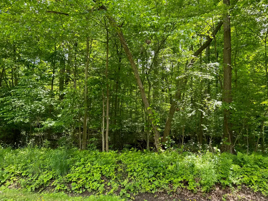 000 Lakeview Road, Jamestown, PA 16134 - #2