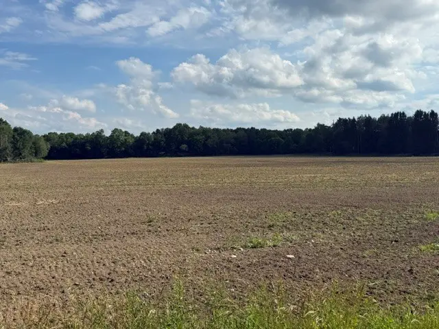 54 Acres Foust Road, Conneaut Lake, PA 16316 - #2
