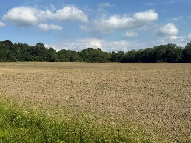 54 Acres Foust Road, Conneaut Lake, PA 16316 - #3