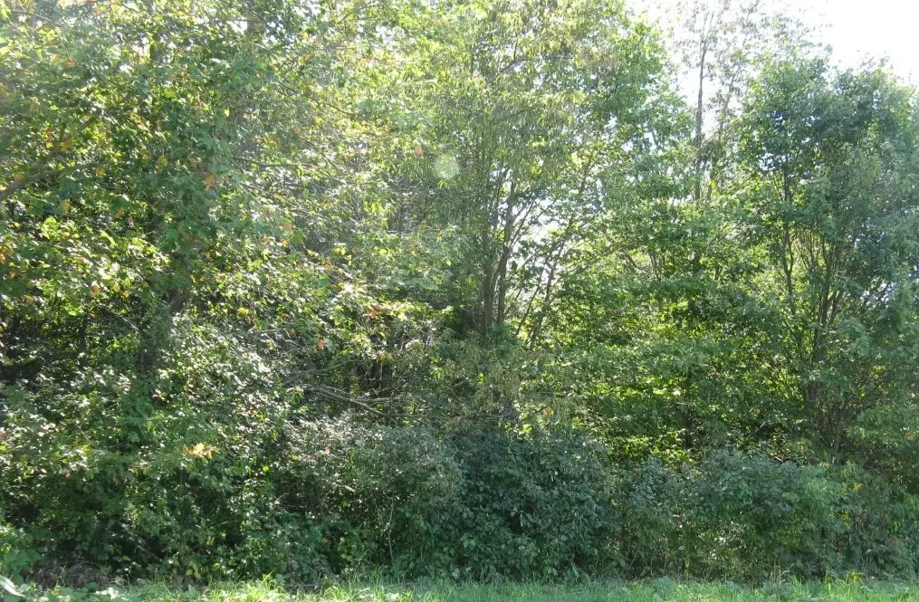 0 Leacock Road, Edinboro, PA 16412 - #1