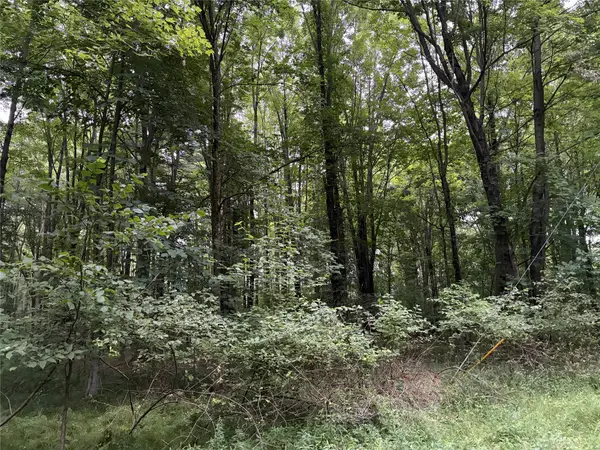Hopi Trail, Espyville, PA 16424