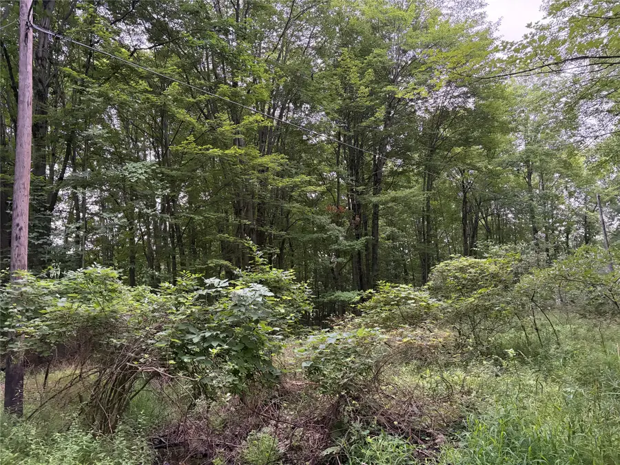 Hopi Trail, Espyville, PA 16424 - #2
