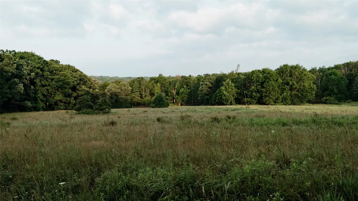 Mccaully Hill Road, Tidioute, PA 16351 - #1