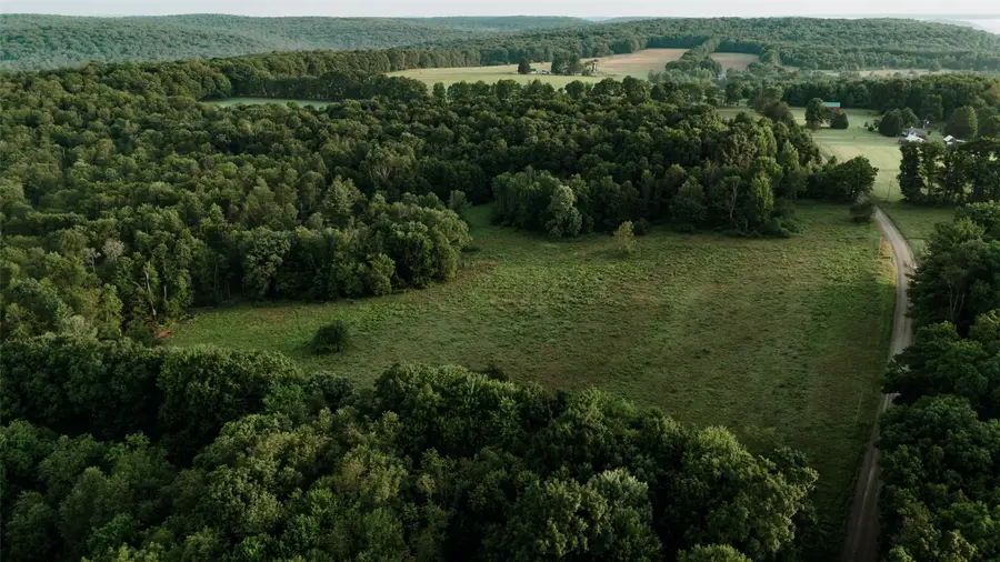 Mccaully Hill Road, Tidioute, PA 16351 - #2