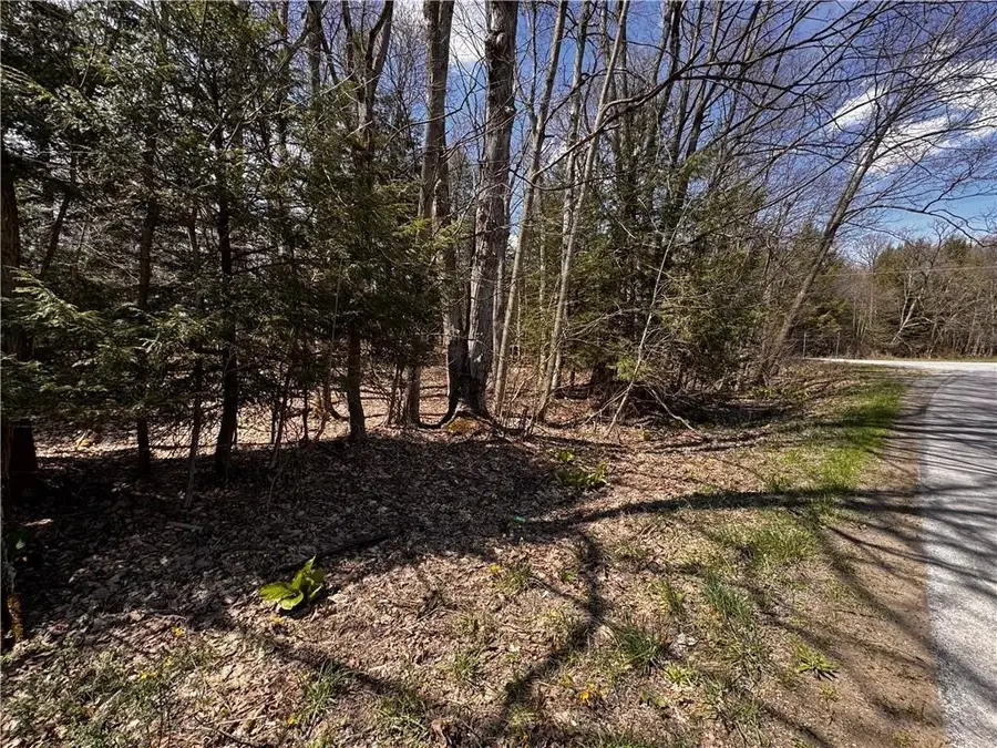 Lot 4 Lake & Danner Road, Union City, PA 16438 - #2