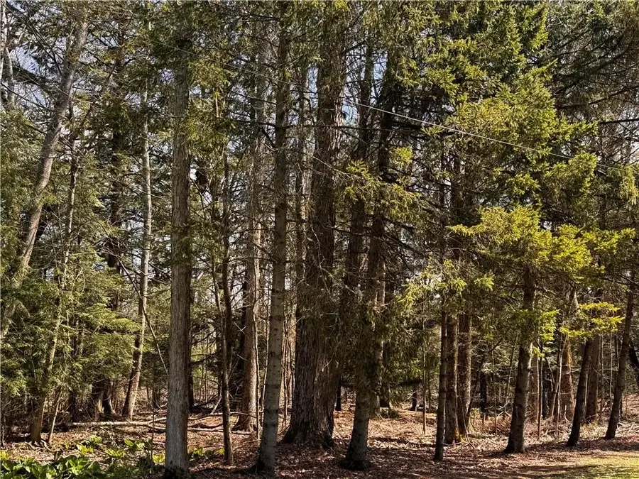 Lot 4 Lake & Danner Road, Union City, PA 16438 - #3
