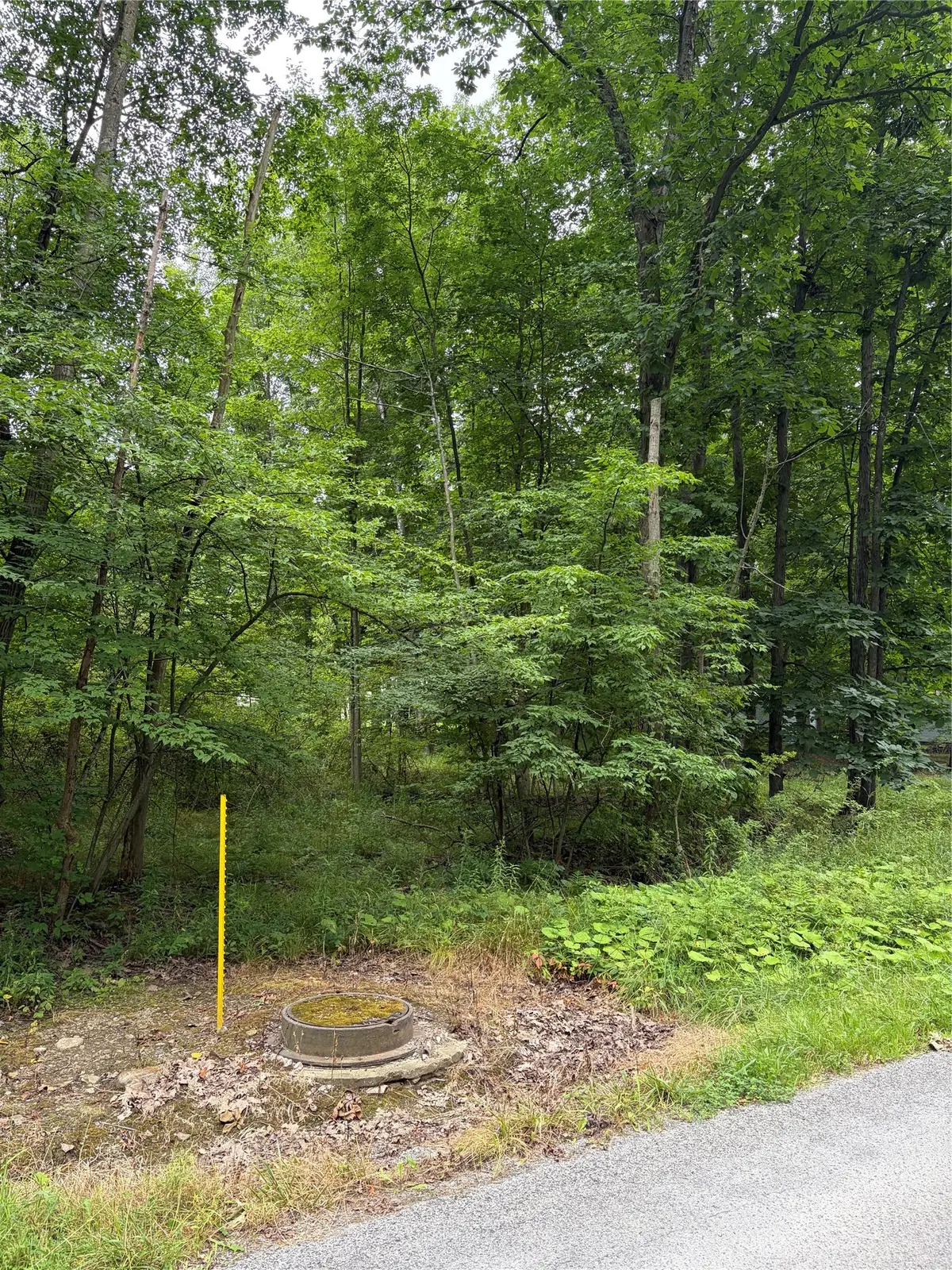 Penn Road, Jamestown, PA 16134 - #1