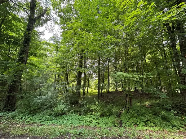 Maple Road, Linesville, PA 16424