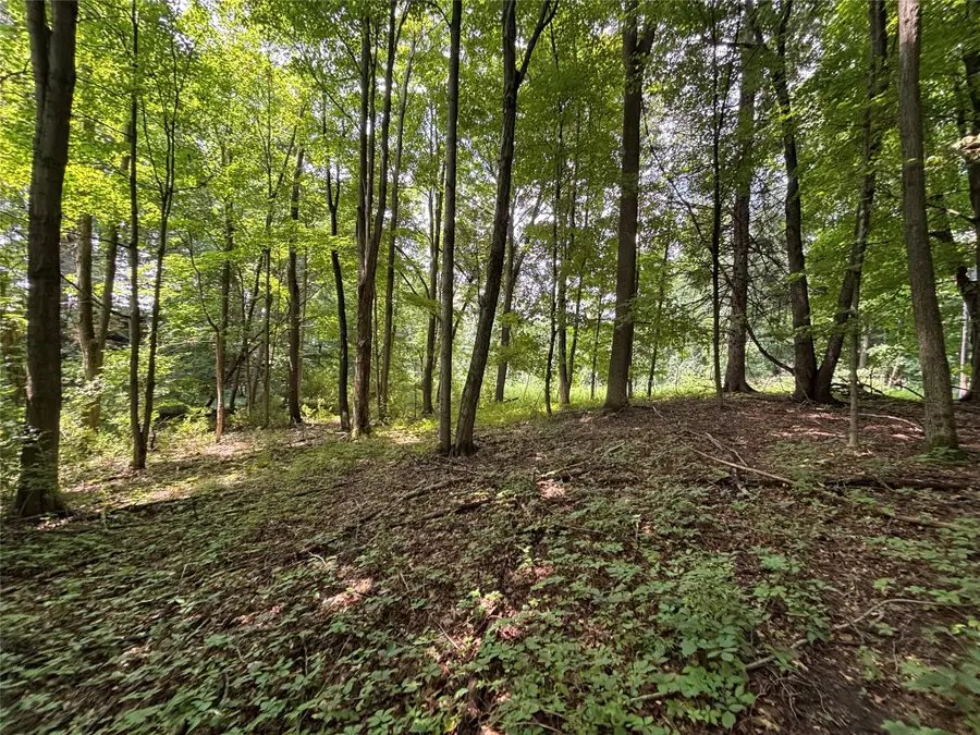 Maple Road, Linesville, PA 16424 - #2