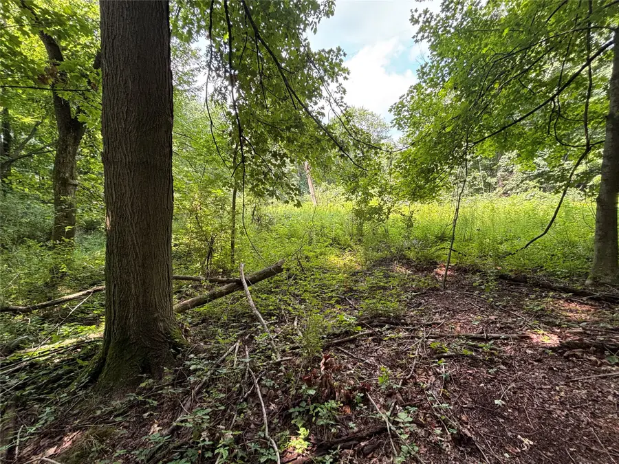Maple Road, Linesville, PA 16424 - #3