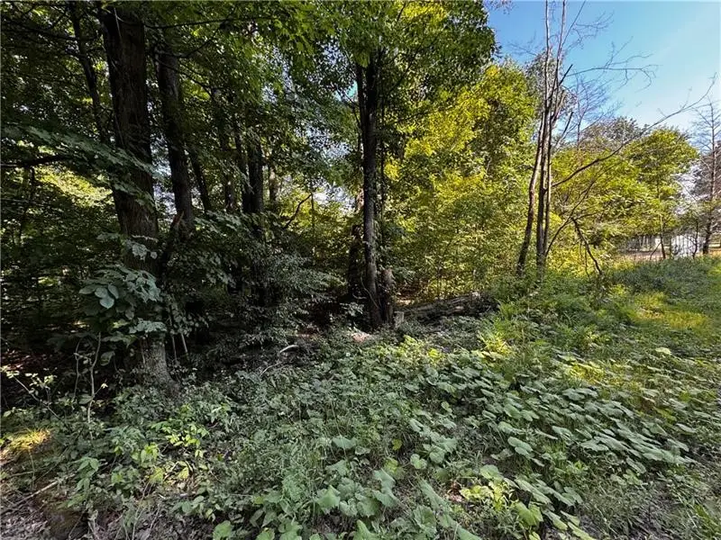 Lot 614, 637, & 638 Weed Road, Canadohta Lake, PA 16438 - #3
