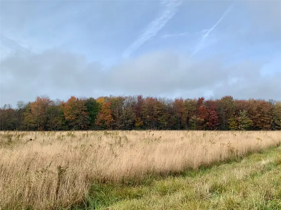 0 New Road, Greenfield, PA 16428 - #3