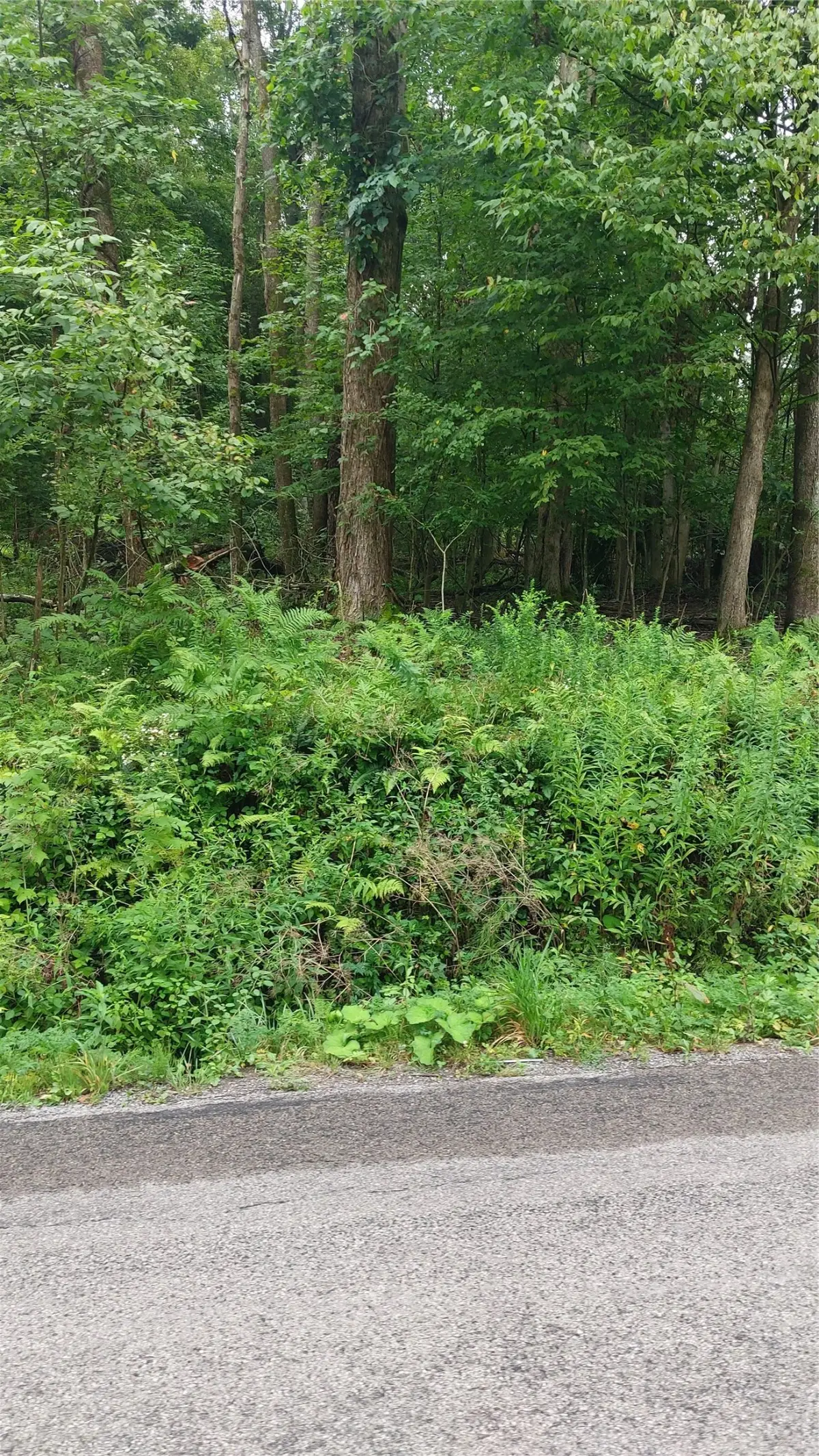 00 Lake Creek Road, Cochranton, PA 16314 - #1