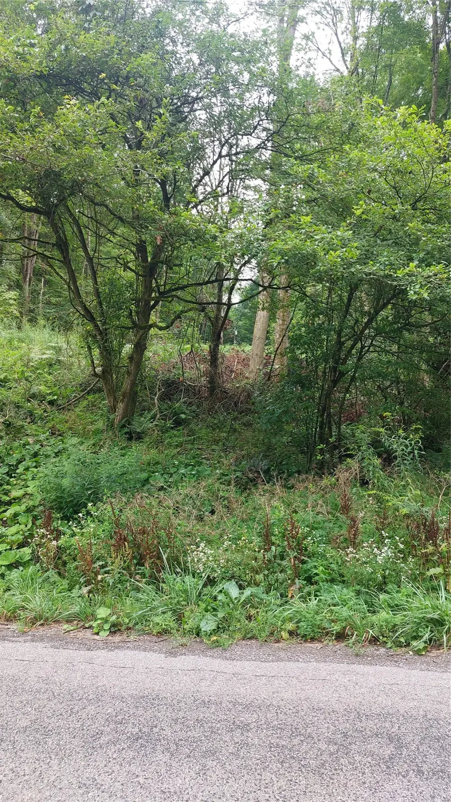 00 Lake Creek Road, Cochranton, PA 16314 - #2