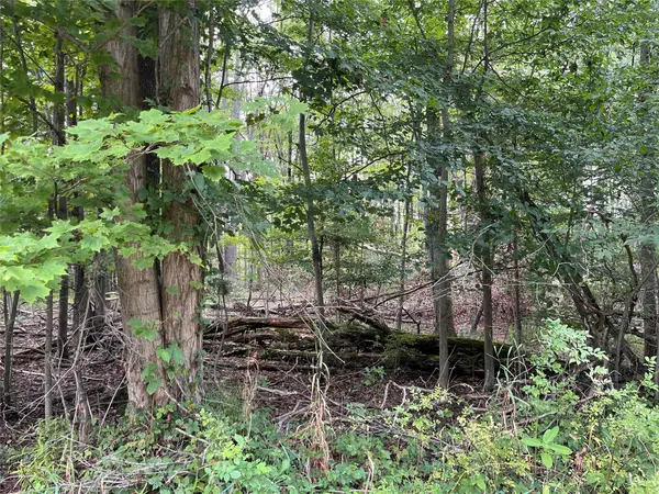 0 Reeds Road, Conneautville, PA 16406