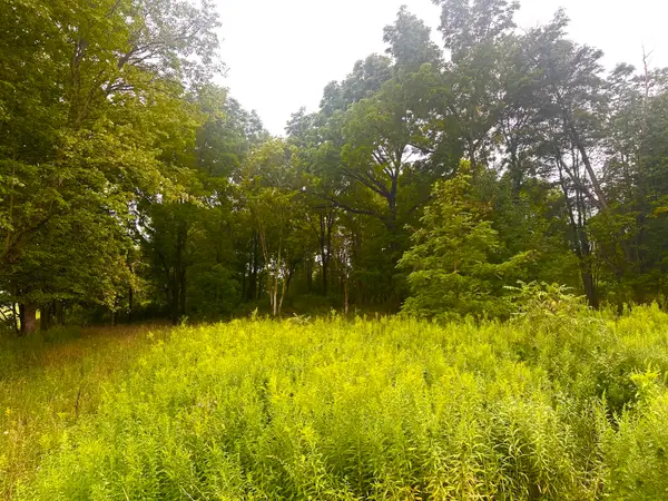 5621 Crane Road, Edinboro, PA 16412