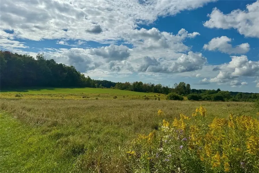 Hill Road, Venango, PA 16442 - #3