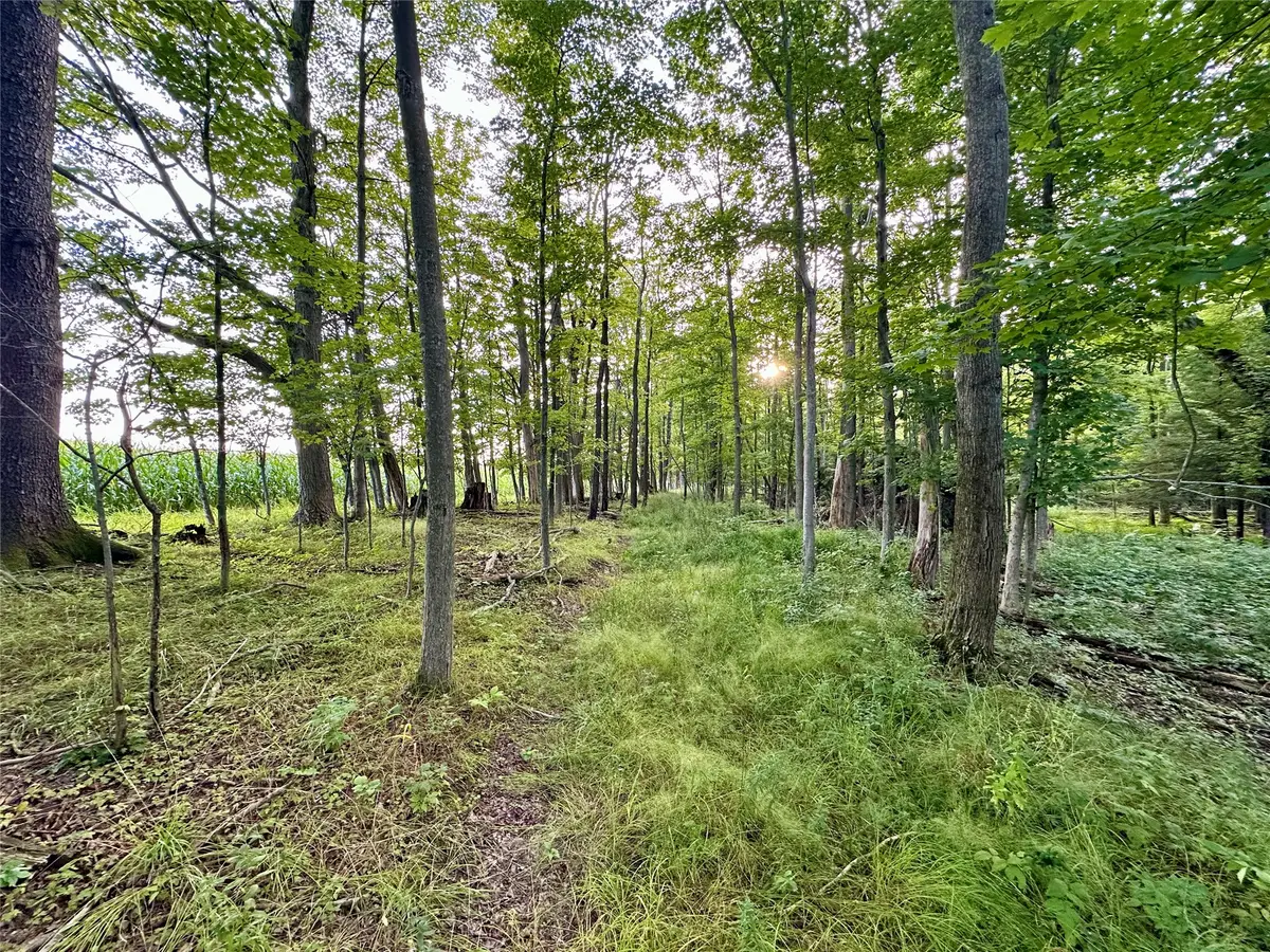 I79 Off Old State Road, Edinboro, PA 16412 - #1
