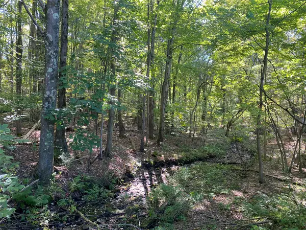 0 Carlyn Drive, Saegertown, PA 16433