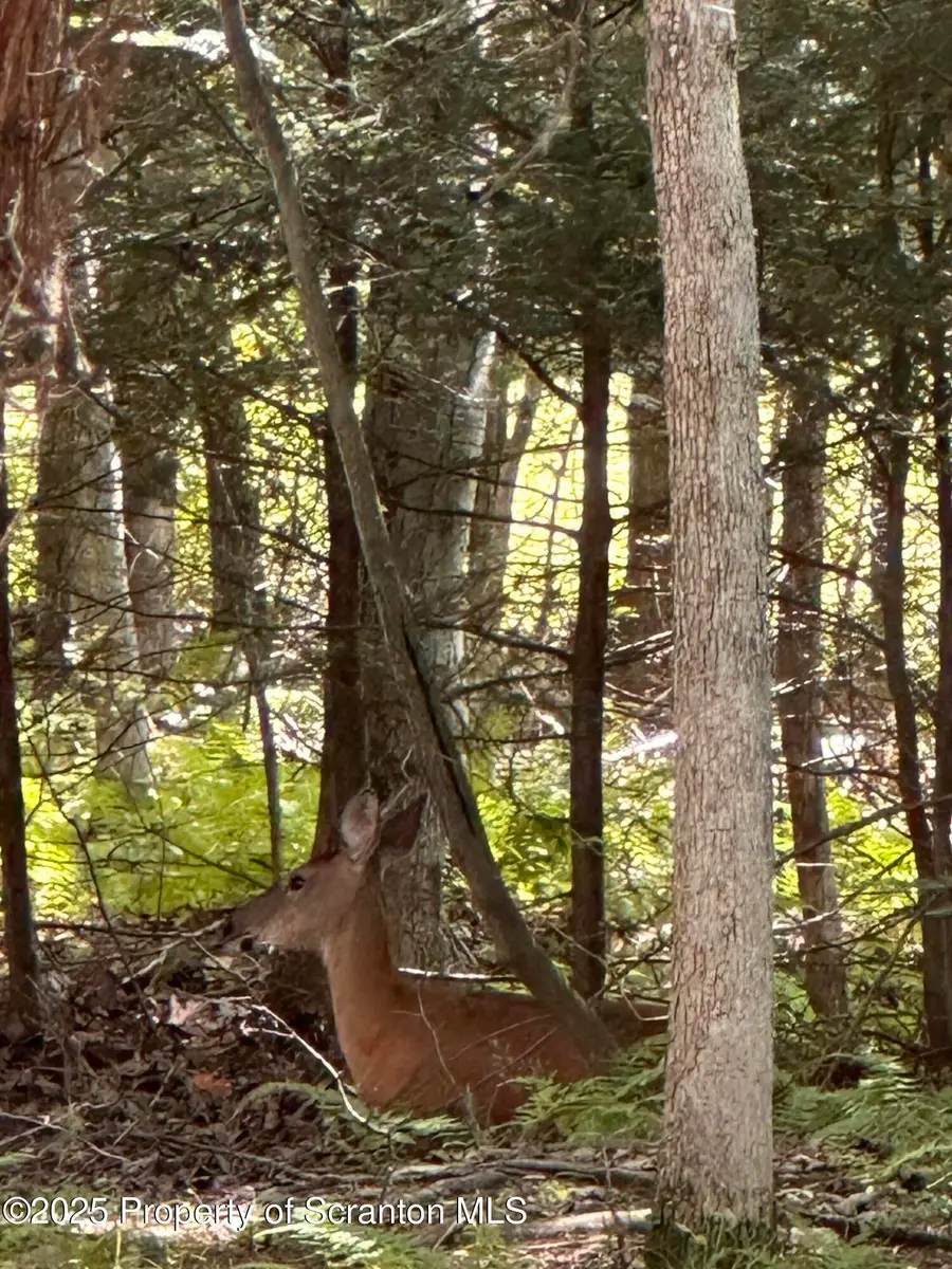 #2
