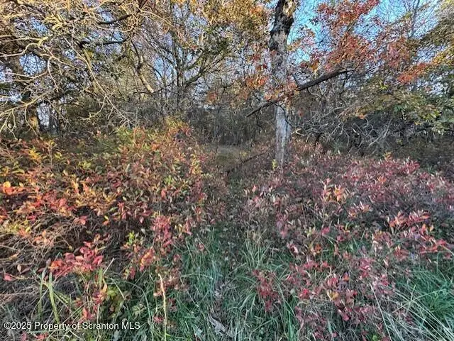 #3