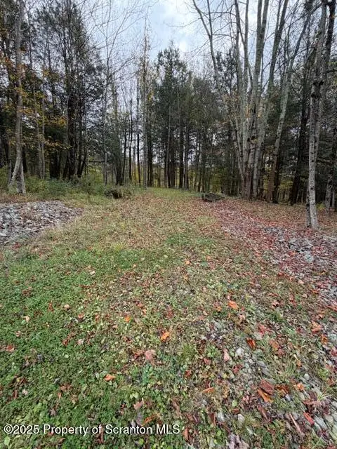 Stark Road, Union Dale, PA 18470 - Image #3