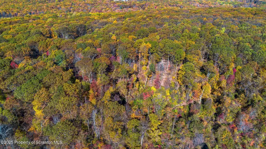 Fox And Robinson Road, South Canaan, PA 18459 - Image #3