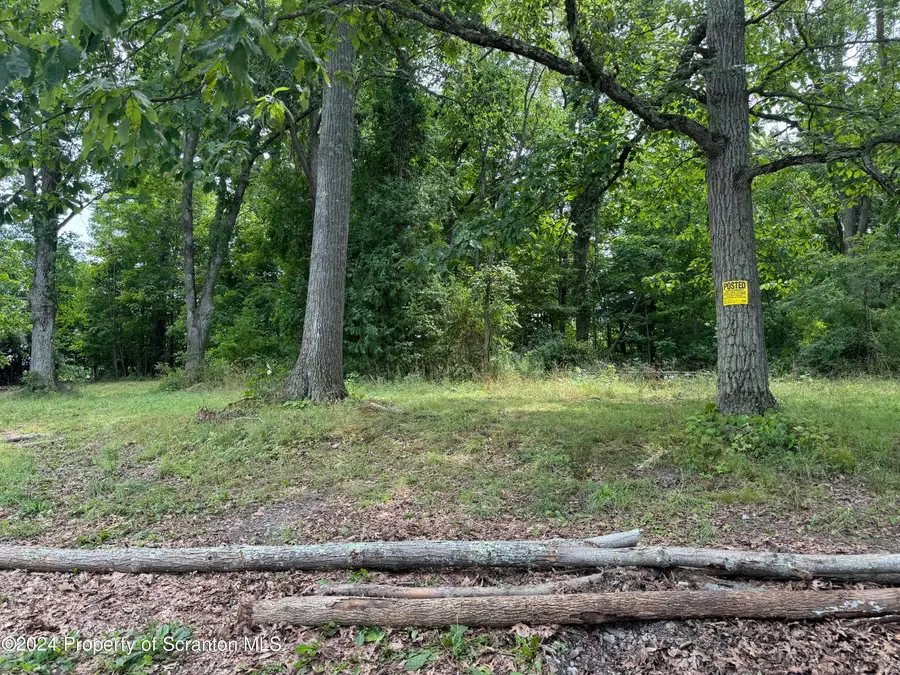 RT 307 & Trout Lane, Factoryville, PA 18419 - Image #3