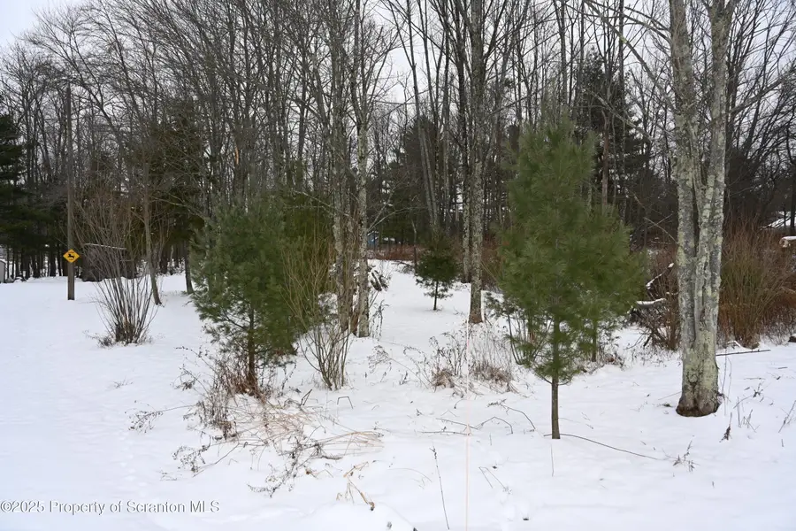 0 E Avenue, Brackney, PA 18812 - Image #2