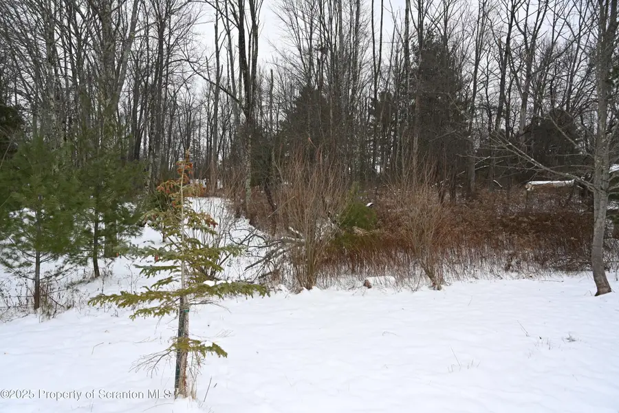 0 E Avenue, Brackney, PA 18812 - Image #3