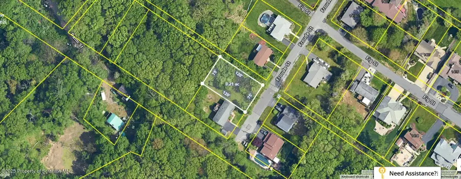 Froude Avenue, Scranton, PA 18505 - Image #3