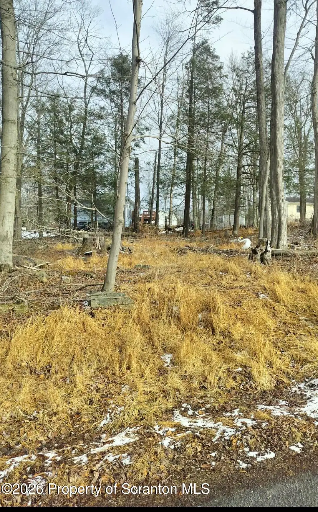 Tulip Lane & Lake Spangenber, Jefferson Township, PA 18436 - Image #1