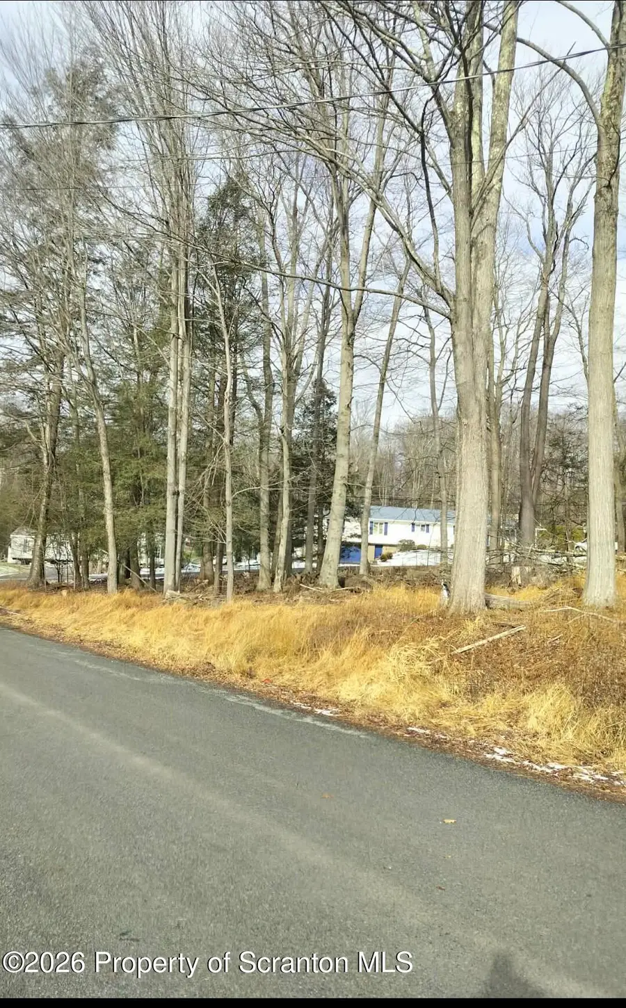 Tulip Lane & Lake Spangenber, Jefferson Township, PA 18436 - Image #3