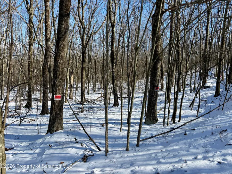 Forest Lane, Archbald, PA 18403 - #3