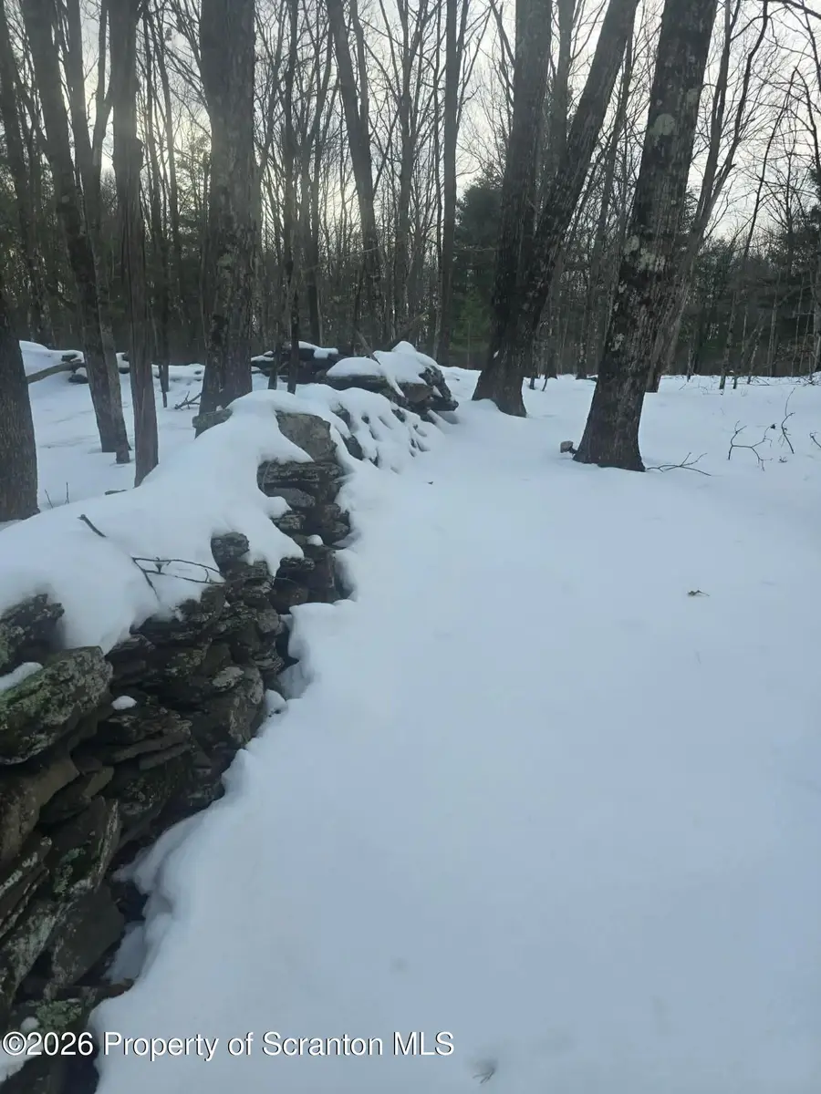 1013 Stearns Road, New Milford, PA 18834 - #3