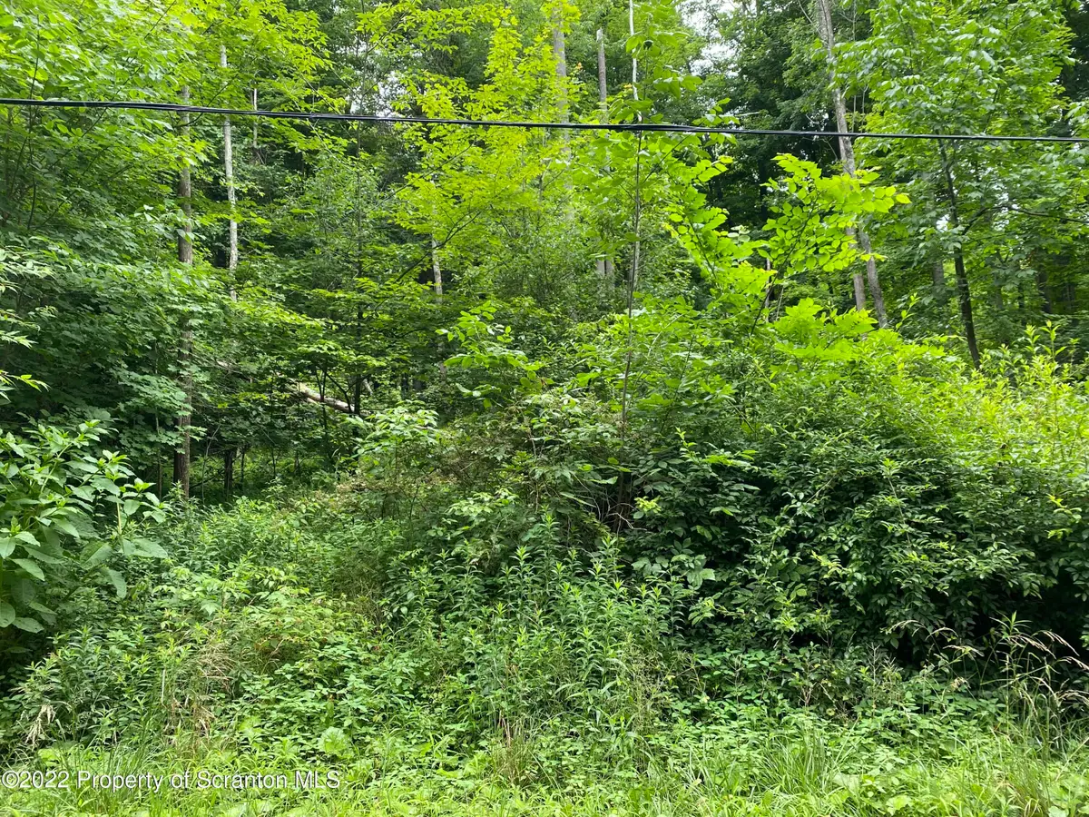 Griffin Pond Road, South Abington, PA 18411 - #1