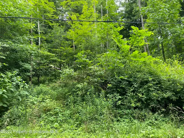 Griffin Pond Road, South Abington Twp, PA 18411