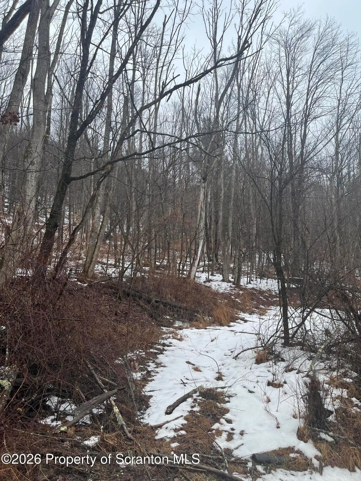 922 Hawk Road, Montrose, PA 18801 - #1