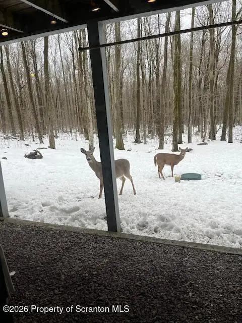 132 Cardinal Drive # S2205, Gouldsboro, PA 18424 - #3