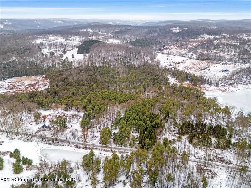 Stanley Lake Road, Friendsville, PA 18818 - #2