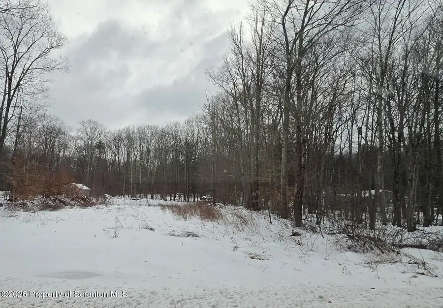 Forest Street, Kingsley, PA 18826 - #2