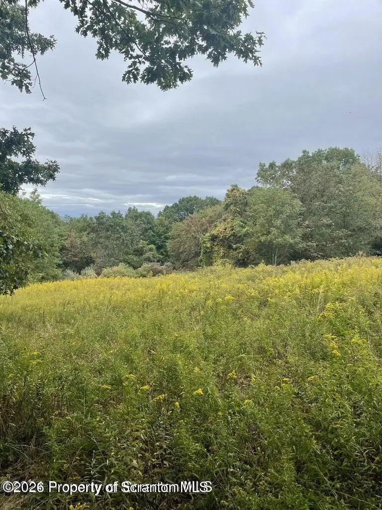 Sekol North L 2 Avenue, Ransom, PA 18504 - #3