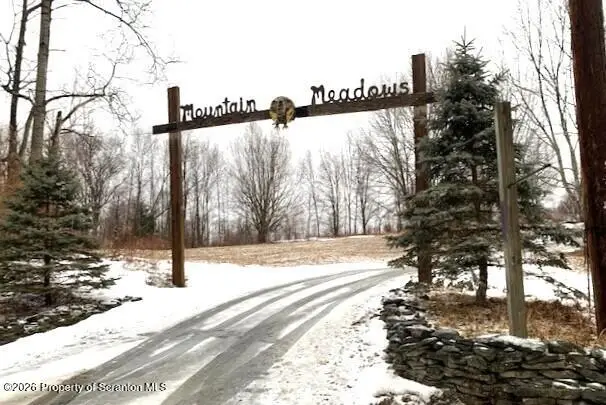 1105 Baldwin Road, Thompson, PA 18465 - #2