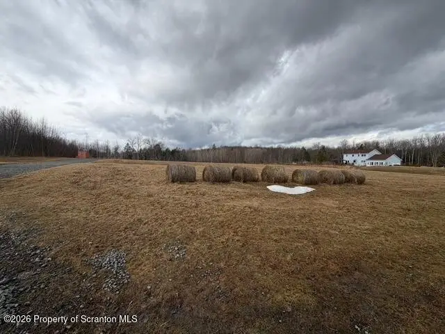 Deer Laurel Est Road, Lake Ariel, PA 18436 - #3